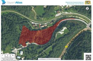 Gewerbeimmobilie kaufen in 83483 Bischofswiesen, Wunderschönes Waldgrundstück zu Verkaufen - 27.814 m² Steilhang mit Gemischtem Bestand