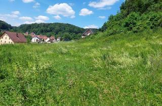 Grundstück zu kaufen in 91245 Simmelsdorf, Naturnahes Grundstück für Ihren Traum vom Eigenheim