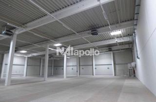 Büro zu mieten in 63857 Waldaschaff, Ca. 750 m² Halle + 100 m² Büro | Gehobene Ausstattung | Bezug Q1/2 2025