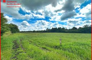 Gewerbeimmobilie kaufen in 26529 Rechtsupweg, Landwirte aufgepasst - Grünland in Rechtsupweg