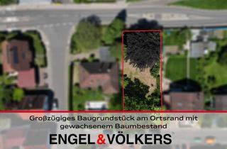 Grundstück zu kaufen in 76872 Minfeld, Großzügiges Baugrundstück am Ortsrand mit gewachsenem Baumbestand