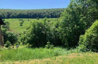 Grundstück zu kaufen in 37627 Heinade, Hang-Baugrundstück in ruhiger und idyllischer Lage!