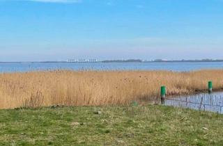 Grundstück zu kaufen in 26849 Filsum, Einzigartig! Baugrundstück am Lauwersmeer in den Niederlanden!