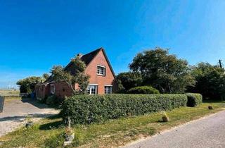 Einfamilienhaus kaufen in 25764 Wesselburen, Wesselburen - Eider & Nordsee als Nachbarn Einfamilienhaus mit 4,400qm Land