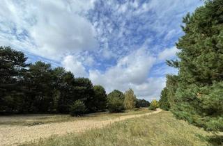 Anlageobjekt in 16567 Mühlenbeck, Waldfläche direkt an der Berliner Stadtgrenze auf dem ehemaligen Berliner Mauerstreifen