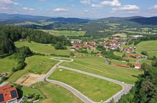 Grundstück zu kaufen in Gießhübl, 94239 Gotteszell, Herzlich Willkommen am Gießhübl. Voll erschlossenes Baugrundstück mit Traumblick.