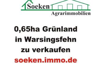 Gewerbeimmobilie kaufen in 26802 Moormerland, Grünland in Moormerland zu verkaufen HF2404