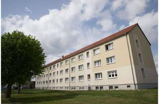Wohnung mieten in Alte Torgauer Straße 37, 04916 Herzberg, Renovierte Drei-Raum-Wohnung im idyllischen Züllsdorf