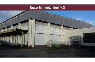 Gewerbeimmobilie kaufen in 15328 Küstriner Vorland, ROSE IMMOBILIEN KG: Lagerhalle mit 8,5 m Höhe, Kühlzellen und Außenfläche zu verkaufen!