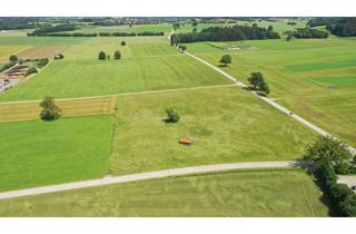 Gewerbeimmobilie kaufen in 86946 Vilgertshofen, 2,72 Hektar landwirtschaftliche Fläche bei Vilgertshofen