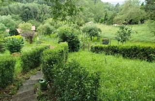 Grundstück zu kaufen in 72555 Metzingen, Interessantes, terrassiertes Freizeitgrundstück in SW-Lage am Floriansberg in Metzingen zu verkaufen