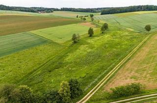 Gewerbeimmobilie kaufen in 84069 Schierling, Wildacker mit ca. 2,1 ha in Schierling, bei Regensburg