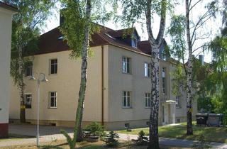 Wohnung mieten in Rotdornweg 10, 06862 Roßlau, *Große 3-RWE mit Dachterrasse*in ruhiger Lage