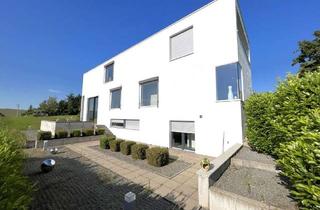 Villa kaufen in 74722 Buchen, Minimalistisch, kubisch, abstrakt: moderne Loft-Villa der Philipp Architekten in Buchen (Odenwald)