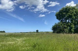 Grundstück zu kaufen in 23948 Moor, Großes Grundstück in ruhiger Lage