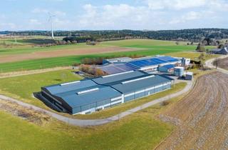 Gewerbeimmobilie kaufen in 72275 Alpirsbach, Production Building, Logistics Halls (approx. 12,632 sqm) Alpirsbach/Stuttgart (Baden-Württemberg)