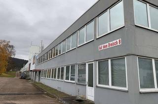 Büro zu mieten in Auf Dem Dreisch, 34346 Hann. Münden, 265 m² Büro / Werkstatt / Lager / Labor in Hann Münden ab sofort zu vermieten