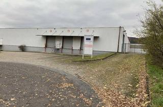 Gewerbeimmobilie mieten in Auf Dem Dreisch, 34346 Hann. Münden, 500 - 6000 m² Freifläche in Hann Münden ab sofort zu vermieten