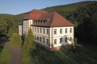 Anlageobjekt in 97903 Collenberg, Schloss Fechenbach in Bayern - Majestätisches Barockschloss aus dem 18. Jahrhundert