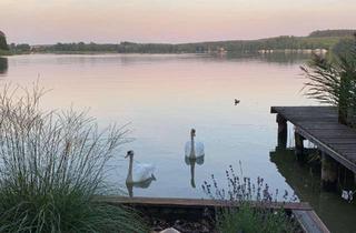 Grundstück zu kaufen in 16831 Rheinsberg, DIREKTLAGE AM SEE - FREIZEITGRUND, SOMMERHÄUSCHEN CA. 20 m² + STEGANLAGE + BOOTSHAUS