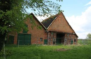 Bauernhaus kaufen in 49832 Andervenne, Denkmal geschützter Bauernhof kann zum Traumhaus werden