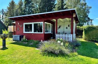 Grundstück zu kaufen in 01855 Sebnitz, Großzügiges Gartengrundstück mit Gartenhaus und Carport