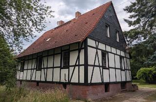 Einfamilienhaus kaufen in 39345 Neuenhofe, Calvörde - Haus im Grünen - Idylle pur mit rustikalem Charme