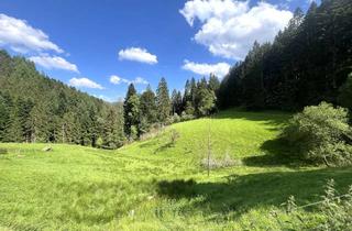 Immobilie kaufen in 77709 Oberwolfach, Attraktives Hofgut mit 2 großen Wohn- und Ökonomiegebäuden in traumhafter, sonniger Panorama A