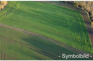 Gewerbeimmobilie kaufen in 99610 Sömmerda, 6,65 ha. Landwirtschaftsflächen / Ackerflächen in Sömmerda zu verkaufen