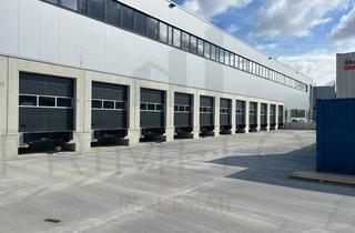 Gewerbeimmobilie mieten in 76661 Philippsburg, 10.000m² Moderne Gewerbehalle in Philippsburg zu vermieten