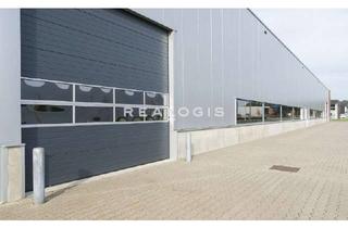 Gewerbeimmobilie mieten in 69514 Laudenbach, Ca. 4.000 qm Lager- / Produktionsflächen | mehrere ebenerdig | bis zu ca. 10,00 m UKB