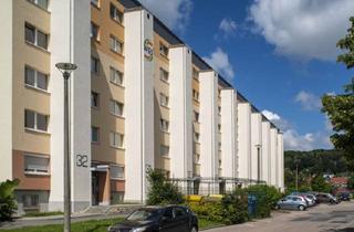 Wohnung mieten in 09337 Hohenstein-Ernstthal, Moderne Wohnung mit Tageslicht-Küche und ebenerdiger Dusche!