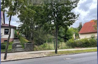 Grundstück zu kaufen in 14974 Ludwigsfelde, Sonniges Baugrundstück im Ortsteil Thyrow