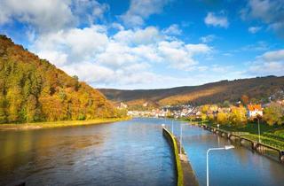 Loft kaufen in 69239 Neckarsteinach, Loftartiger Traum mit Panoramablick!