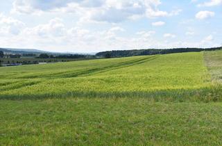 Anlageobjekt in 48291 Telgte, Knapp 1ha gut erreichbares Ackerland ohne Genehmigung