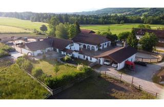 Haus kaufen in 82389 Böbing, Gesucht und selten: Reiterhof in TOP-LAGE und TOP-ZUSTAND!