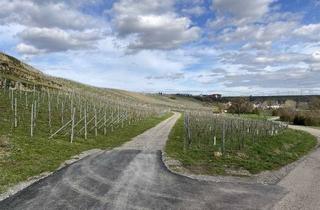 Gewerbeimmobilie kaufen in 74357 Bönnigheim, Weinberg "Berg"