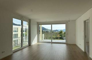 Penthouse mieten in 77654 Offenburg, Penthouse-Etage - Im Seidenfaden - mit Süd-Balkon, Panorama-Sicht und Grünzone !