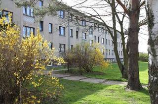 Wohnung mieten in Hessenburger Str., 18317 Saal, schöne 4-Zimmer-Wohnung mit Wannenbad in Saal