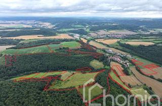 Gewerbeimmobilie kaufen in 37308 Geismar, Acker, Wald und Wiese (ca. 80 ha) bei Großtöpfer - 50% Miteigentumsanteil