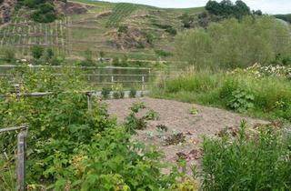 Grundstück zu kaufen in B 49, 56814 Bremm, Garten wenige Meter von der Mosel entfernt im alten Wein- und Ferienort Bremm