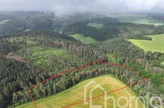 Gewerbeimmobilie kaufen in 07407 Remda-Teichel, Kiefernwald mit Ackeranteil (ca. 3,1 ha) bei Rudolstadt