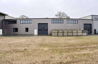 Büro zu mieten in 27721 Ritterhude, Sanierte Hallenflächen – Ausbau nach Mieterwunsch mit Büroeinbauten