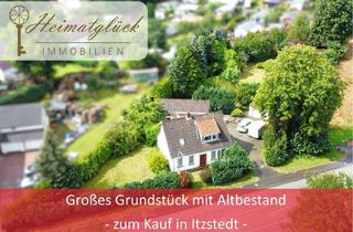 Einfamilienhaus kaufen in 23845 Itzstedt, Großes Grundstück mit Altbestand - Einfamilienhaus mit Einliegerwohnung in Itzstedt zu kaufen -