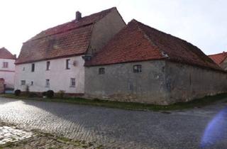 Haus kaufen in 06628 Lanitz-Hassel-Tal, Lanitz-Hassel-Tal - Denkmalgeschütztes Sanierungsobjekt