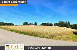 Grundstück zu kaufen in 74219 Möckmühl, *BAU MICH* Der vielleicht beste Bauplatz! - Riesen Grundstück! - FALC Immobilien Heilbronn