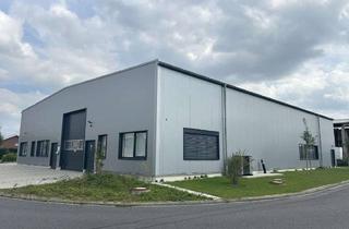 Gewerbeimmobilie mieten in 48317 Drensteinfurt, Energieeffiziente Produktions- und Lagerhalle