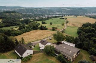 Haus kaufen in 56321 Rhens, Einzigartige Liegenschaft mit 2 Wohnhäusern und vielen Möglichkeiten in toller Lage