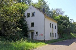 Haus kaufen in Hauptstraße 10, 55758 Niederhosenbach, Sanierungsfall in idyllischer Naturlage!