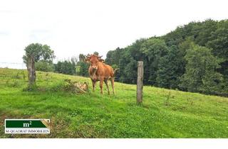 Grundstück zu kaufen in 51399 Burscheid, Exklusives Grundstück bei Burscheid neben Weiden und Wald mit Blick ins Grüne